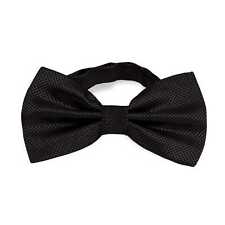 Elegante papillon quadri usato  Italia