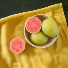 Lemon apple pink for sale  USA