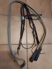 westerntrense kaltblut gebraucht kaufen westerntrense kaltblut gebraucht kaufen Gadebusch-Umland