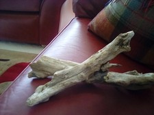 Aquarium natural bogwood for sale  HARROGATE