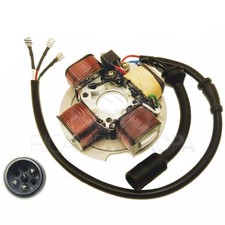 Statore bobine piaggio usato  Italia