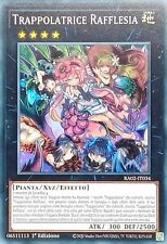 Trappolatrice rafflesia super usato  Calcinaia