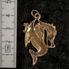 Drache schmuck anhänger gebraucht kaufen  Neukirchen b.Sulzbach-Rosenberg