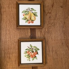 Vintage fruit print for sale  Cleveland