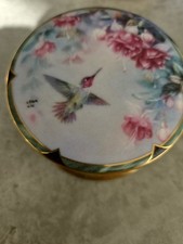 Galliope hummingbird lena for sale  LONDON
