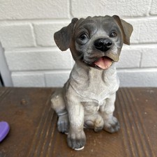 Staffordshire bull terrier for sale  BIRMINGHAM