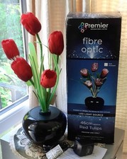 Premier fibre optic for sale  EXETER