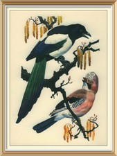 tunnicliffe prints for sale tunnicliffe prints for sale CANNOCK