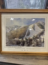 Rare vintage winterpark for sale  Palermo
