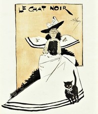 Chat noir the d'occasion  Expédié en Belgium