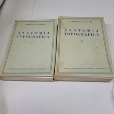 Anatomia topografica 1960 usato  Italia