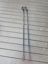 Swix nordic walking for sale  Mount Ulla