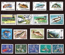 Poissons sea fish d'occasion  Venelles
