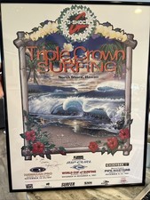 Triple crown surfing for sale  Nutley