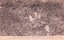 Thiaumont bayonet slice d'occasion  Expédié en Belgium