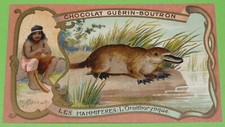 Chromo 1905 1914 d'occasion  Vendat