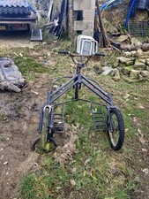 Husky sled dog for sale  HALIFAX