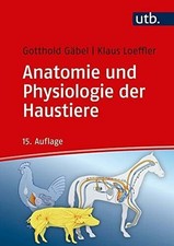 Utb gmbh anatomie gebraucht kaufen  Stuttgart