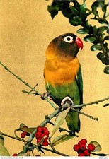 Animals birds set d'occasion  Expédié en Belgium