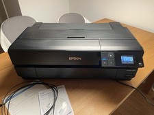 Epson surecolor p800 gebraucht kaufen  Armsheim, Gabsheim, Partenheim