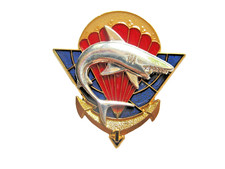 Insigne tdm parachutistes d'occasion  Saint-Mamert-du-Gard