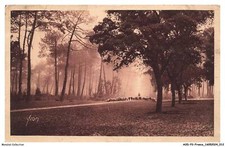 Usado, Aodp3-0162-40 - Hossegor - Bando de ovelhas na floresta Landes comprar usado  Enviando para Brazil