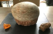 Genuine prehistoric fossilized for sale  Los Angeles