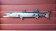 Vintage barracuda taxidermy for sale  Fort Lauderdale