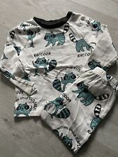 Boys raccoon pyjamas for sale  BIRMINGHAM