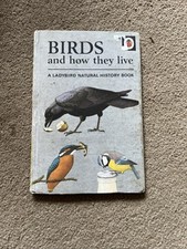 Ladybird natural history for sale  NORWICH