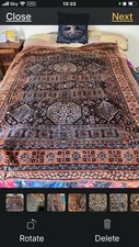Medium sized indian for sale  TAVISTOCK