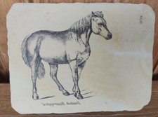 Lithographiestein 1840 lithost gebraucht kaufen  Abtsgmünd