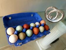 œufs poule pondeuse d'occasion  Chemillé