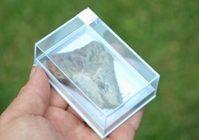 Wow genuine megalodon for sale  UK
