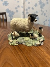 1985 border fine for sale  ROYSTON