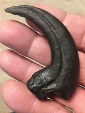 Jurassic park dino for sale  Rising Fawn
