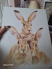 Rabbit canvas picture for sale  PLYMOUTH