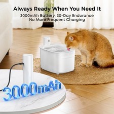 Fontaine eau chat d'occasion  Albens