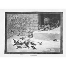 Louis wain unperceived for sale  GLASGOW