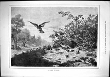 Old antique print for sale  UK