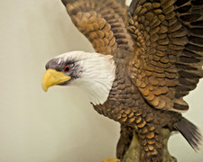 Bald eagle porcelain for sale  Pittsburgh