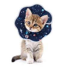 Collerette chat chiot d'occasion  Lyon I