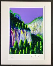 David hockney large for sale  Hawkinsville