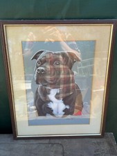 Vintage staffordshire bull for sale  PRESTON