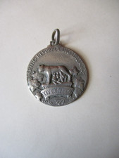 medaglia roma usato medaglia roma usato Jesi