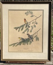 Vintage ray harm for sale  Westminster