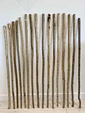 Hazel walking stick for sale  NEWCASTLE UPON TYNE