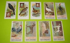 birds eggs for sale birds eggs for sale CHIPPENHAM
