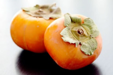 Graines kaki fuyu d'occasion  Mallemort