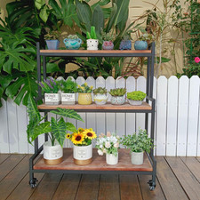 Rustic plant stand for sale  Brentwood